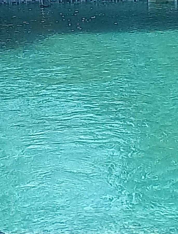 Villa La roulotte à Juju Le Bosc  Esterno foto